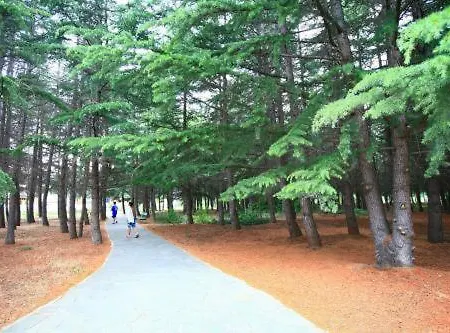 Continental Park Солнечный берег