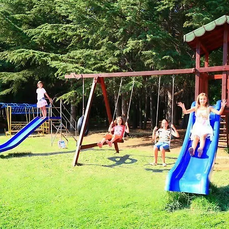 Отель Continental Park