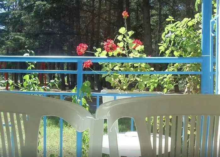 Continental Park Szálloda Napospart