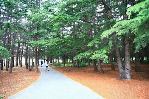 Continental Park Солнечный берег